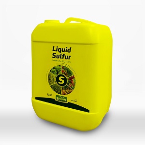 Liquidsulfur-